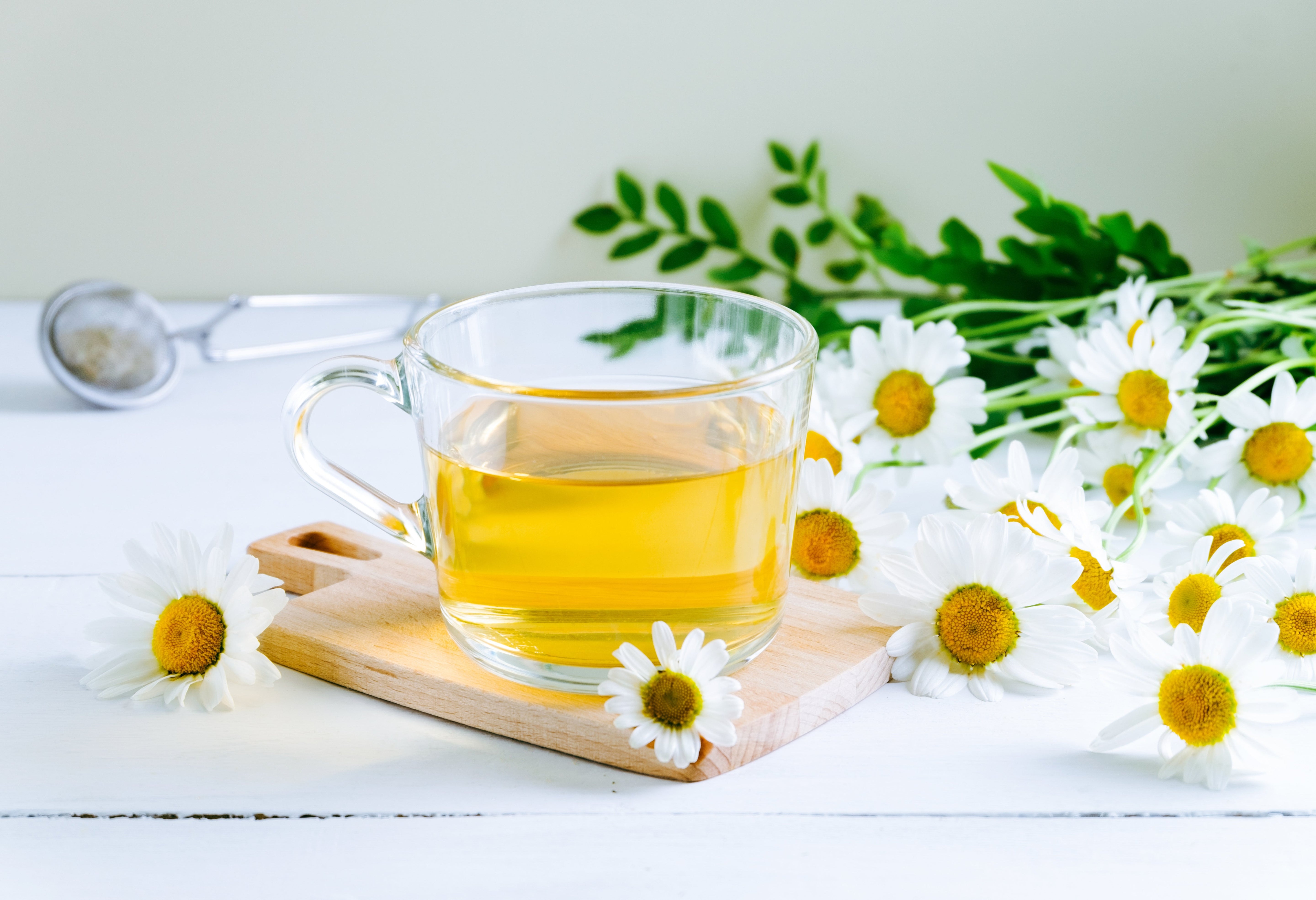 Chamomile Tea Nature’s Secret to Better Sleep and Stress Relief