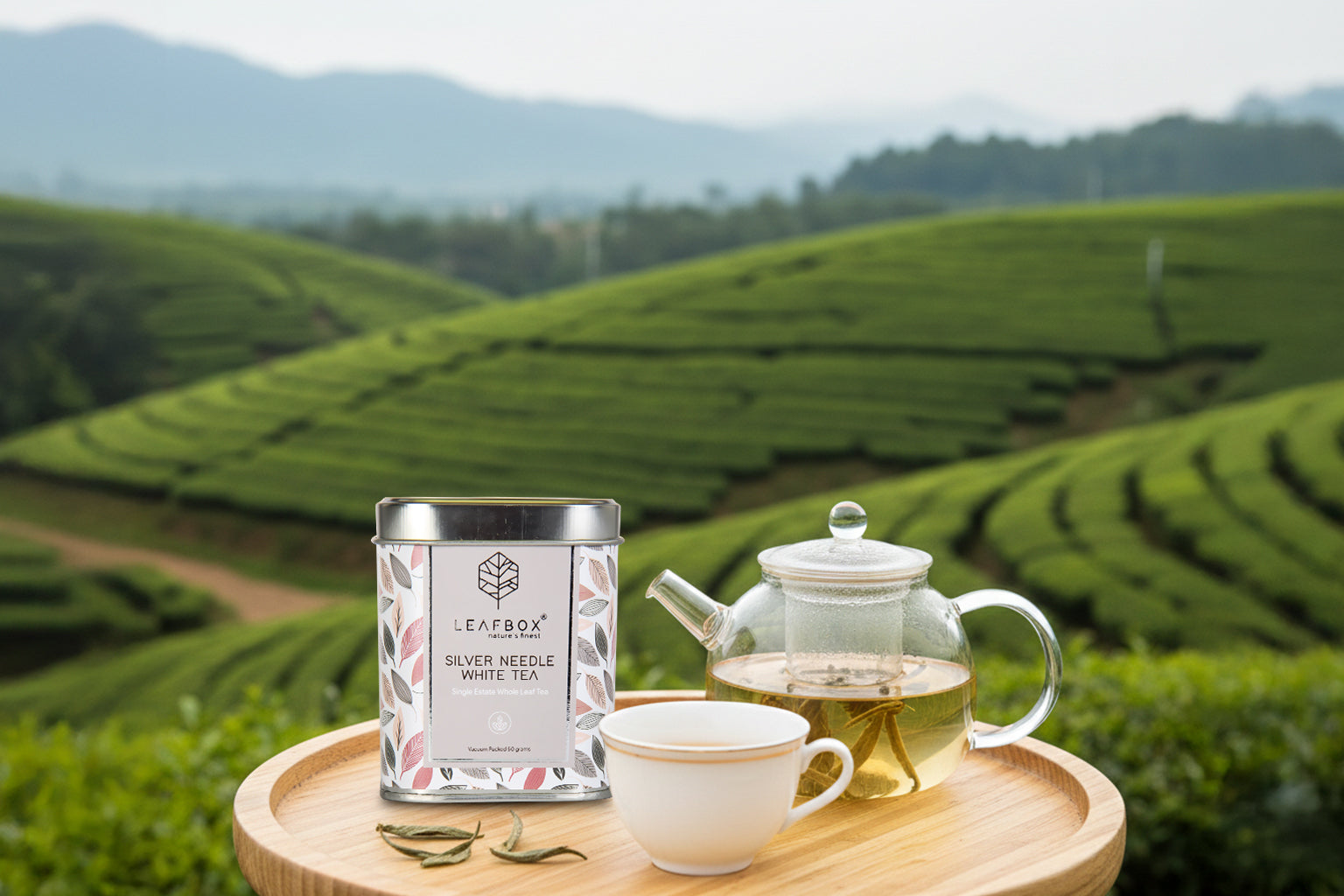 Premium white tea setup with teapot, cup, and loose leaves