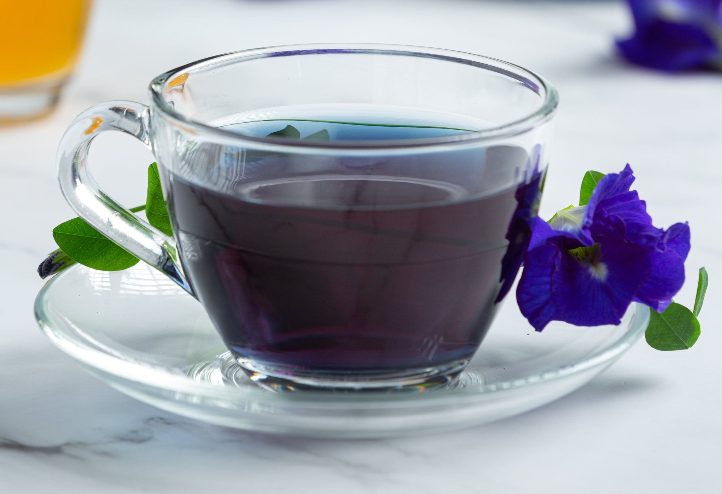 Butterfly Pea Tea