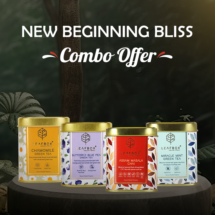 NEW BEGINNING BLISS