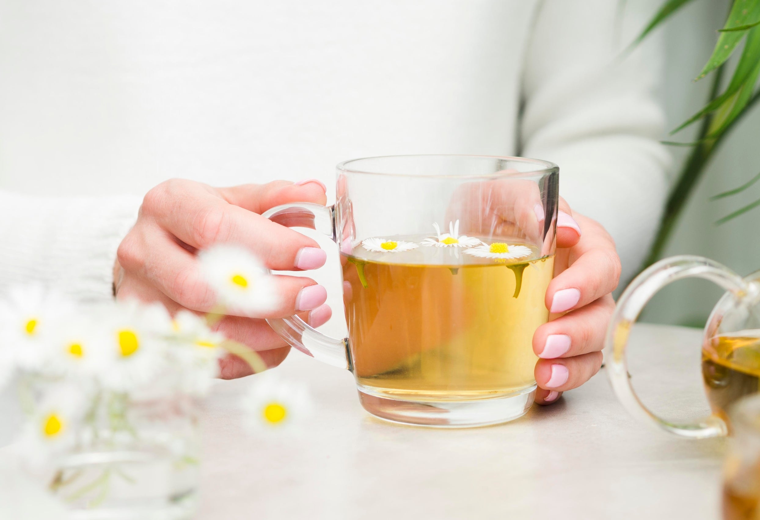 Chamomile Tea 